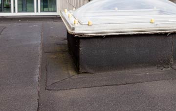 disadvantages of Glaspwll flat roofs