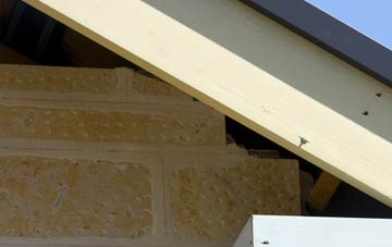 soffit repair Glaspwll